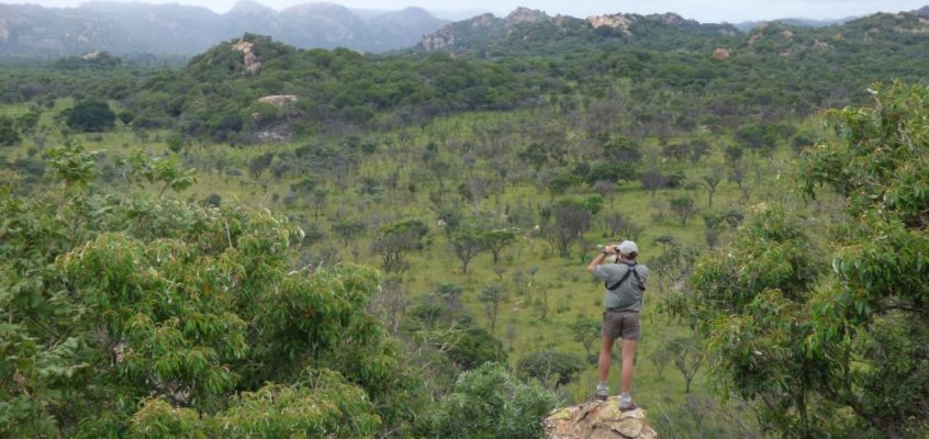 Noch mehr Abenteuer im Matobo-Nationalpark