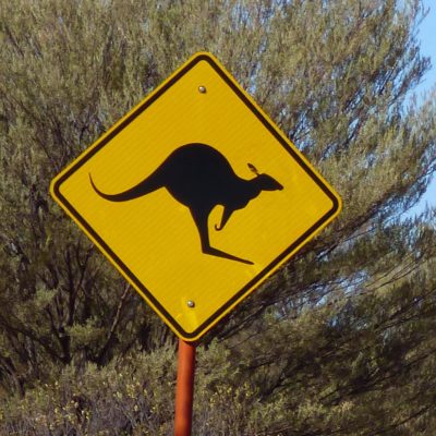 Achtung, Kangurus! (Australien)