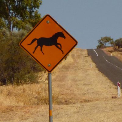 Achtung, Pferde! (Australien)