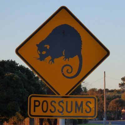 Achtung, Possums! (Australien)