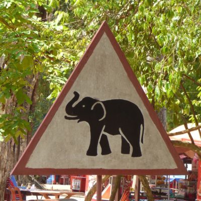 Achtung, Elefanten! (Kambodscha)